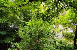 Apartament 2 camere intr-o zona linistita, semidecomandat Pantelimon