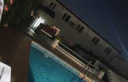 Casa curte ideala investitie pt afacere si locuit