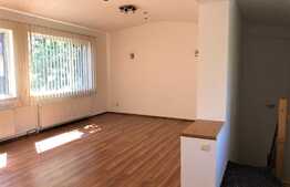 Casa langa Herastrau, 400mp teren, zona excelenta