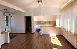 Casa langa Herastrau, 400mp teren, zona excelenta