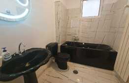 Penthouse cu vedere panoramica, Arcul De Triumf