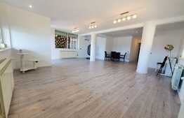 Penthouse cu vedere panoramica, Arcul De Triumf