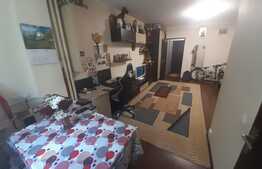 Garsoniera de 31 mp, Parcul IOR