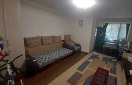 Garsoniera de 31 mp, Parcul IOR