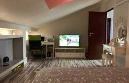 Apartament 2 camere, design unic, mansarda, Drumul Taberei!