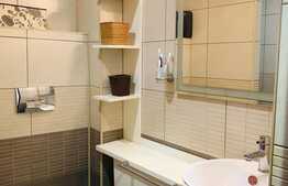 Apartament 2 camere, design unic, mansarda, Drumul Taberei!