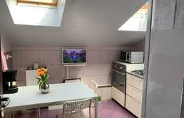 Apartament 2 camere, design unic, mansarda, Drumul Taberei!