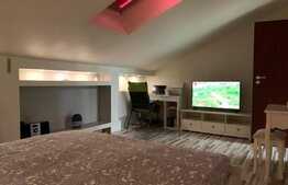 Apartament 2 camere, design unic, mansarda, Drumul Taberei!