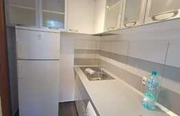 Garsoniera de vanzare, 32 mp, în zona Piata Iancului