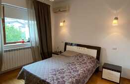 Vila ideala si spatioasa in Pipera!