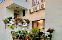 Vila ideala si spatioasa in Pipera!