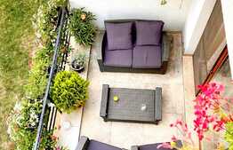 Vila ideala si spatioasa in Pipera!