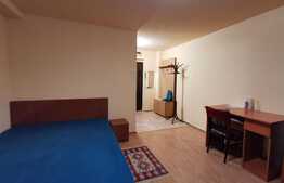 Garsonieră modernă, 31 mp, zona Lujerului