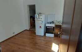 Apartament de 2 camere, curte, zona Grădina Icoanei - Dacia
