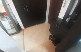 Garsoniera in Titan, Parcul IOR!