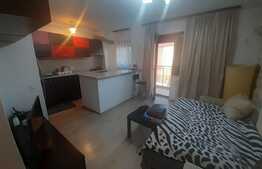 Garsoniera in Titan, Parcul IOR!