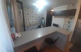 Garsoniera in Titan, Parcul IOR!