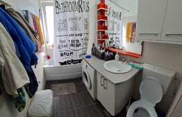 Apartament 2 camere, curte 75m. Zona Nicolae Grigorescu. Oportunitate!