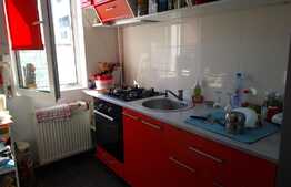 Apartament 2 camere, curte 75m. Zona Nicolae Grigorescu. Oportunitate!