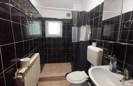 Apartament de 2 camere și curte de 40 mp, zona Piața Domenii