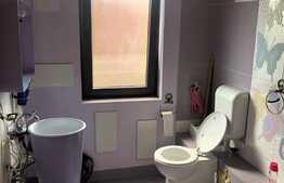 Casa 4 camere in Popesti - Leordeni, cu piscina incalzita si suprafata teren 560 mp