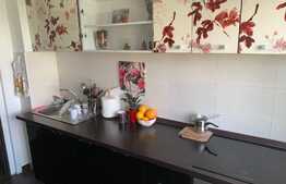 Apartament 2 camere lac Plumbuita ready to move 