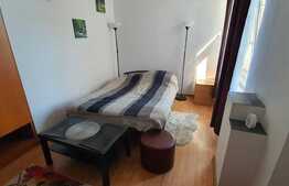 Garsoniera ultracentrala Smardan, investitie