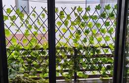 Oferta! Apartament doua camere 43 mp, Colentina (Andronache).