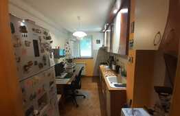 Apartament 3 camere, 63 mp, centrala proprie, zona Piața Miniș