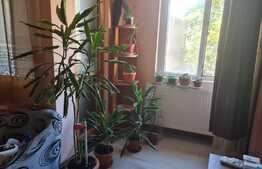 Apartament 3 camere, zona linistita