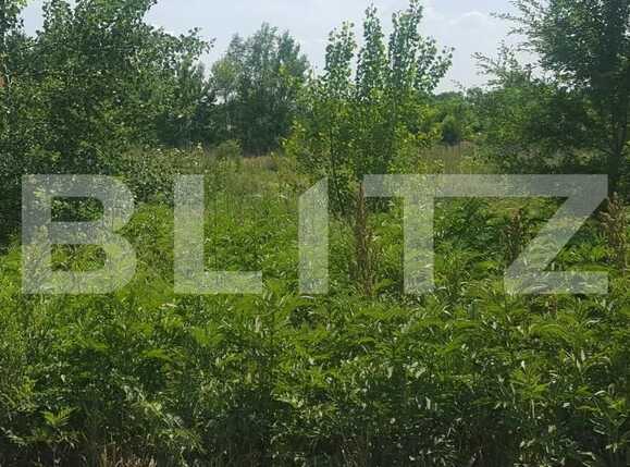 Teren de vânzare Baneasa - 71047TV | BLITZ București | Poza4