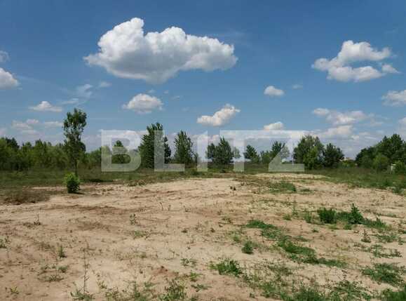 Teren de vânzare Baneasa - 71047TV | BLITZ București | Poza3