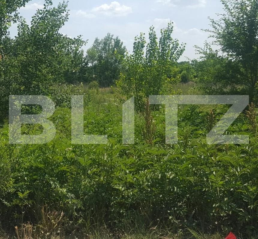 Teren de vânzare Baneasa - 71047TV | BLITZ București | Poza4