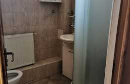 Vila deosebita, parter si mansarda, finisaje lux, pod Baneasa