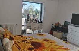 Vila superba, P+1, Pantelimon, zona Lebada