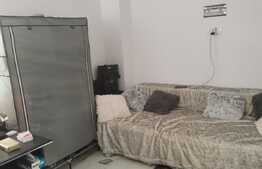 Vila superba, P+1, Pantelimon, zona Lebada