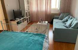 Apartament de 2 camere, decomandat, monolit, Delfininului 