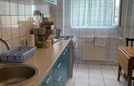 Apartament de 2 camere, decomandat, monolit, Delfininului 