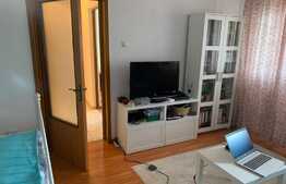 Apartament de 2 camere, decomandat, monolit, Delfininului 