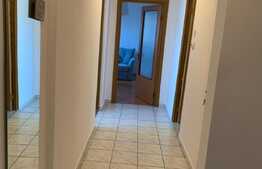 Apartament de 2 camere, decomandat, monolit, Delfininului 