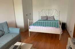 Apartament de 2 camere, decomandat, monolit, Delfininului 