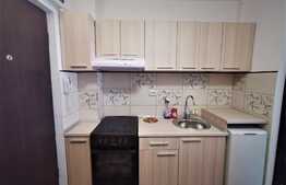 Garsonieră renovată și decomandată, zona Păcii