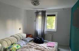 Apartament 3 camere in aproprierea parcului Tei 