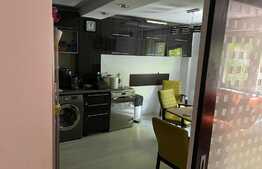 Apartament 3 camere in aproprierea parcului Tei 