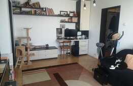 Apartament de 2 camere Park Lake Titan