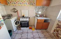 Garsoniera 24 mp, etaj intermediar, zona Costin Georgian