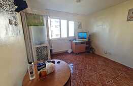 Garsoniera 24 mp, etaj intermediar, zona Costin Georgian