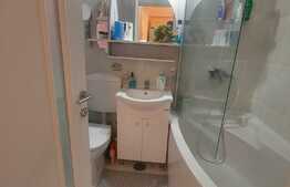 Apartament 2 camere, 44 mp, etaj intermediar, zona Magheru