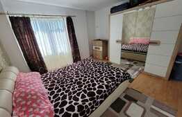 Apartament decomandat, 2 camere, curte comuna, zona Parcul Carol