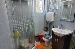 Apartament decomandat, 2 camere, curte comuna, zona Parcul Carol